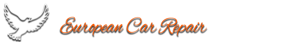 European Car Repair
